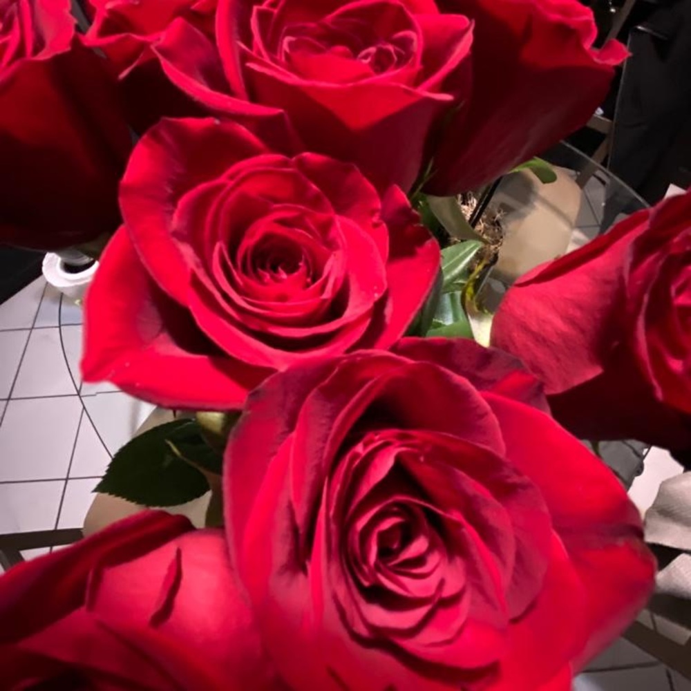 Meet your Posher, Brenda